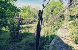 Oportunitate! Proprietate 81 mp utili casa și 574 mp, la strada ,zona Agronomie!