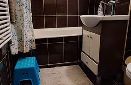 Apartament 3 camere semidecomandat, Craiovita Noua ( Statia de salvare)