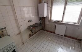 Apartament de 2 camere, 47 mp, centrala termica, zona Calea Severin