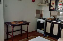 Ocazie! Casa parter locuibila, 72 mp utili, 232 mp teren,  Semi-central!