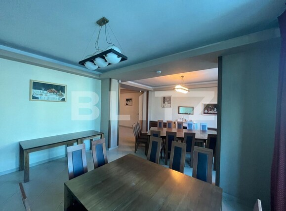 Spațiu comercial de închiriat Brazda lui Novac - 115793SIC | BLITZ Craiova | Poza3