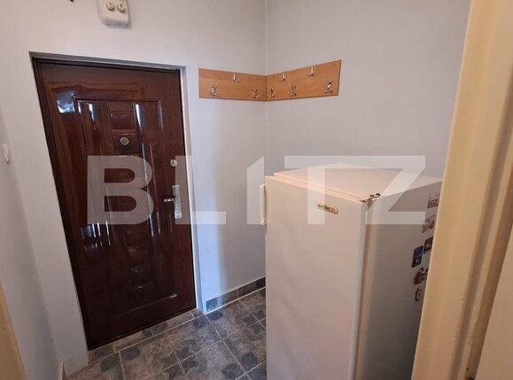 Garsonieră de vânzare Brazda lui Novac - 115841AV | BLITZ Craiova | Poza4