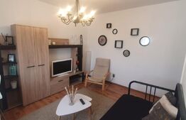 Garsoniera,AC, Ultracentral, Zona Minerva