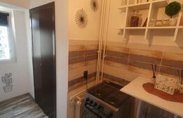 Garsoniera,AC, Ultracentral, Zona Minerva