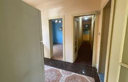 Oportunitate! Casa renovabila pe parter  , 222 mp teren, zona Paltinis