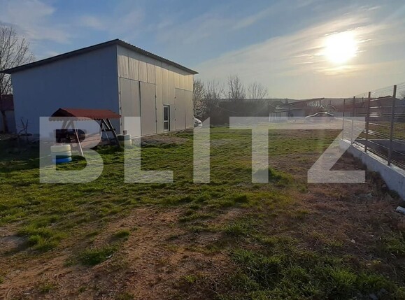 Spațiu industrial de închiriat Mofleni - 115859SII | BLITZ Craiova | Poza3