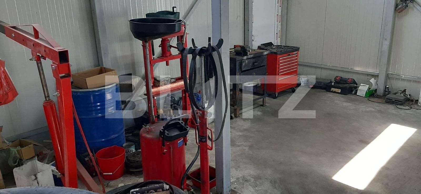 Spațiu industrial de închiriat Mofleni - 115859SII | BLITZ Craiova | Poza6