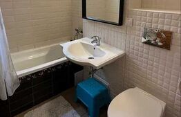 Apartament cu 3 camere semidecomandat Rovine