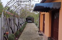 Casă 180 mp  utili ,teren 1000 mp , zona Coșoveni 