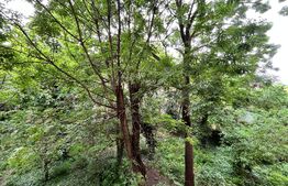 OCAZIE UNICĂ! Apartament 3 camere, 67 mp, et. 2, zona Piața Mare