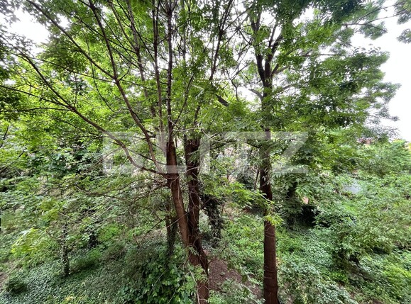 Apartament de vânzare 3 camere Central - 116086AV | BLITZ Craiova | Poza9