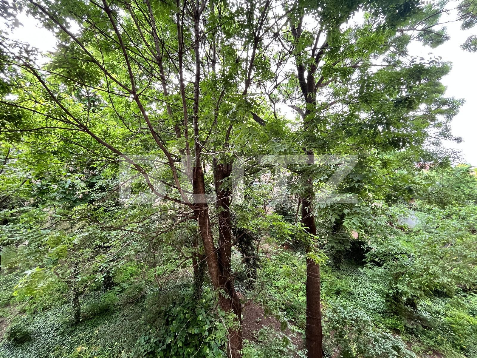 Apartament de vânzare 3 camere Central - 116086AV | BLITZ Craiova | Poza9