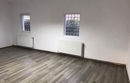 Casa decomandata, pretabila spatii de birouri, 335 mp ultili, centrala termica, zona Raului