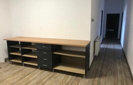 Casa decomandata, pretabila spatii de birouri, 335 mp ultili, centrala termica, zona Raului