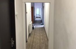 Casa decomandata, pretabila spatii de birouri, 335 mp ultili, centrala termica, zona Raului