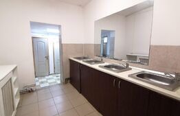 Casa decomandata, pretabila spatii de birouri, 335 mp ultili, centrala termica, zona Raului