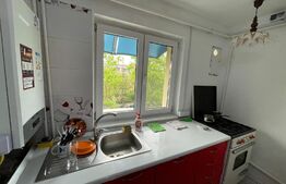 Apartament 3 camere, centrala, aer conditionat, zona Brazda