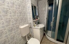 Apartament 3 camere, centrala, aer conditionat, zona Brazda