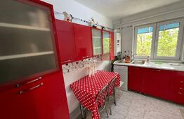 Apartament 3 camere, centrala, aer conditionat, zona Brazda