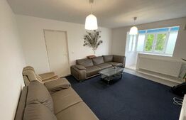 Apartament 3 camere, centrala, aer conditionat, zona Brazda