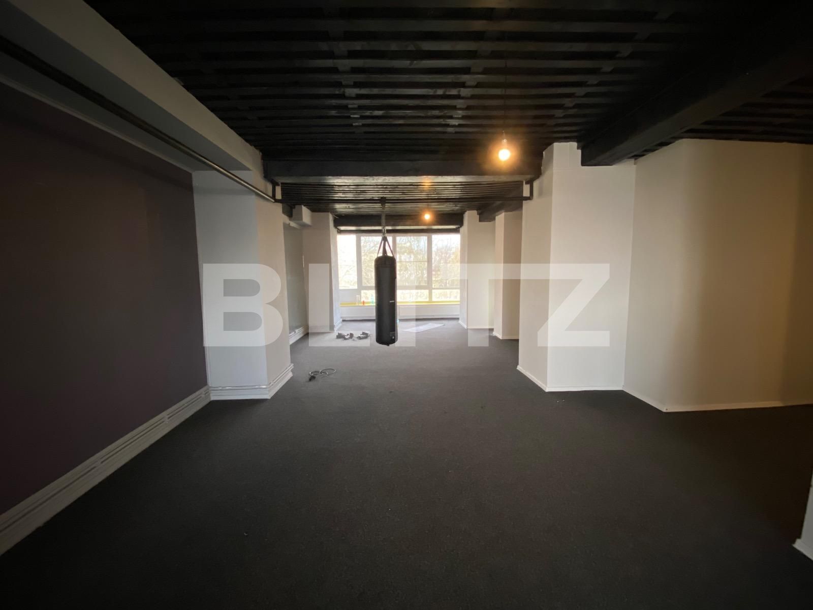 Spațiu birouri de închiriat Calea Bucuresti - 116629SIB | BLITZ Craiova | Poza2