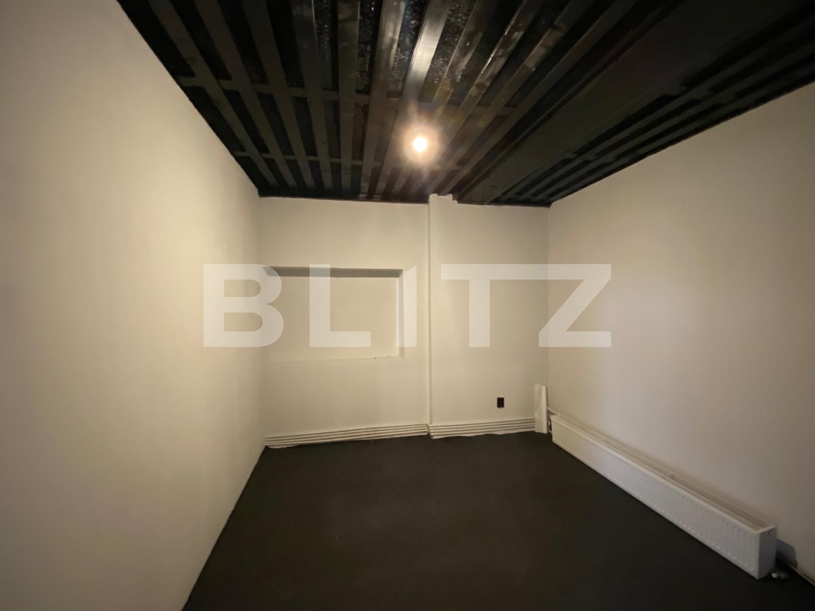 Spațiu birouri de închiriat Calea Bucuresti - 116629SIB | BLITZ Craiova | Poza4