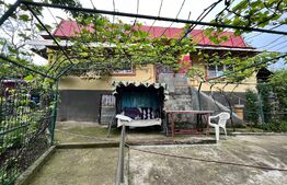 Casă pe parter de 103 mp, cu anexe de 60 mp și teren 5.000 mp, Pietroaia