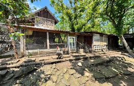 Casă pe parter de 103 mp, cu anexe de 60 mp și teren 5.000 mp, Pietroaia