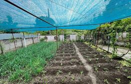 Casă pe parter de 103 mp, cu anexe de 60 mp și teren 5.000 mp, Pietroaia