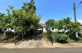 Casă pe parter de 103 mp, cu anexe de 60 mp și teren 5.000 mp, Pietroaia