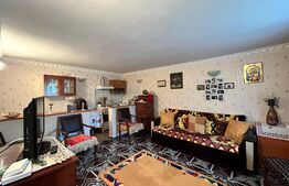 Casă pe parter de 103 mp, cu anexe de 60 mp și teren 5.000 mp, Pietroaia