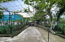 Casă pe parter de 103 mp, cu anexe de 60 mp și teren 5.000 mp, Pietroaia