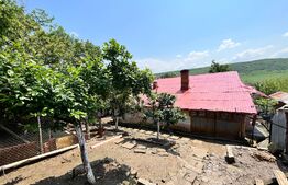 Casă pe parter de 103 mp, cu anexe de 60 mp și teren 5.000 mp, Pietroaia