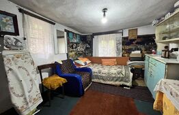 Casă pe parter de 103 mp, cu anexe de 60 mp și teren 5.000 mp, Pietroaia