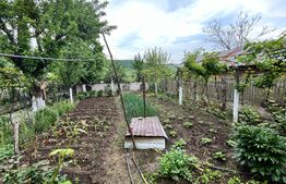 Casă pe parter de 103 mp, cu anexe de 60 mp și teren 5.000 mp, Pietroaia