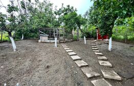 Casă pe parter de 103 mp, cu anexe de 60 mp și teren 5.000 mp, Pietroaia