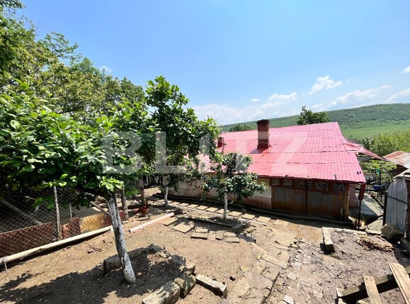 Casa de vânzare 4 camere Exterior Vest - 116726CV | BLITZ Craiova | Poza18