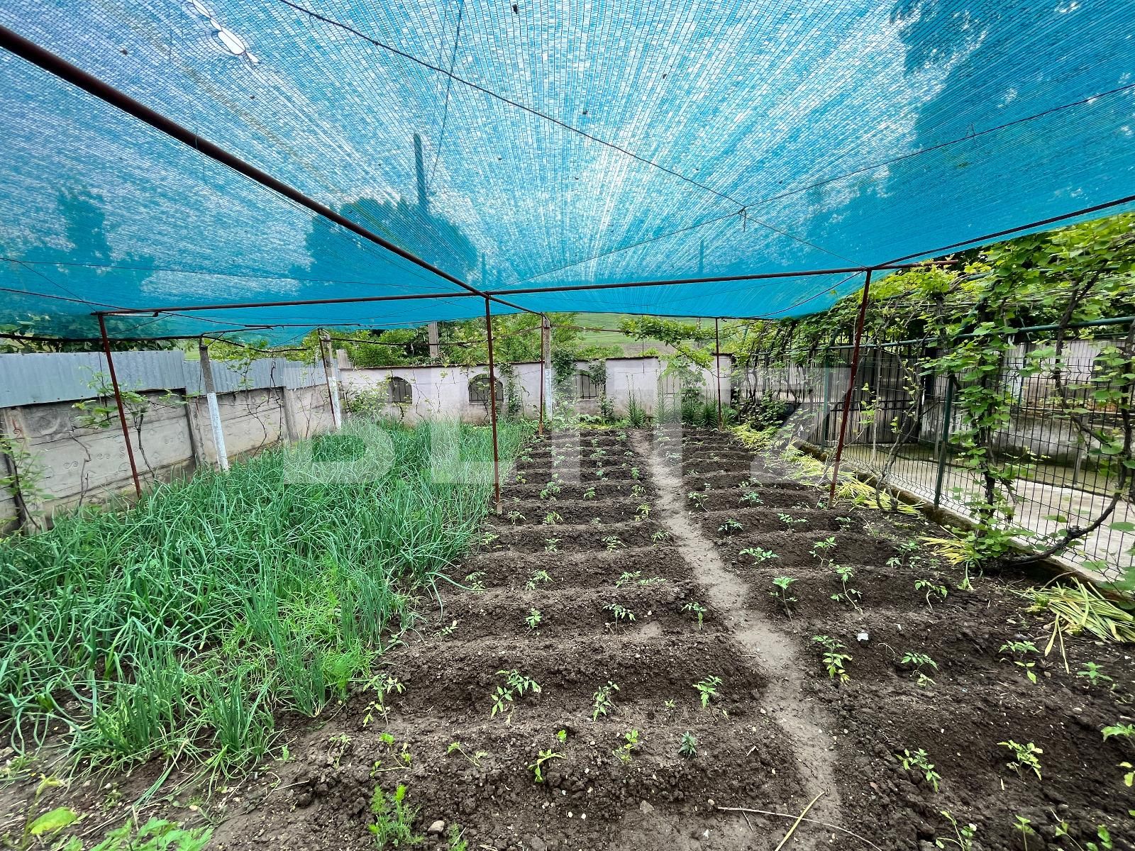 Casa de vânzare 4 camere Exterior Vest - 116726CV | BLITZ Craiova | Poza13