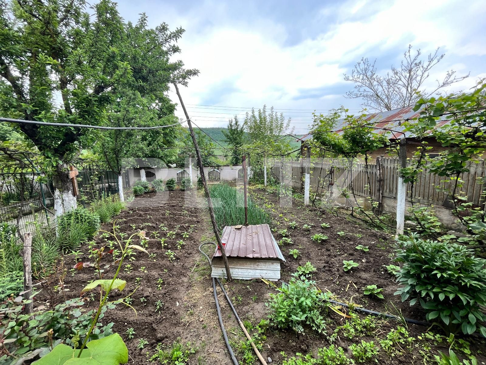 Casa de vânzare 4 camere Exterior Vest - 116726CV | BLITZ Craiova | Poza17