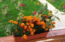 Casă individuală de 86 mp cu 400 mp teren, zona Florești