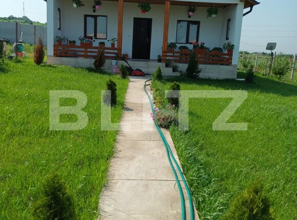 Casa de vânzare 2 camere Albesti - 117211CV | BLITZ Craiova | Poza3