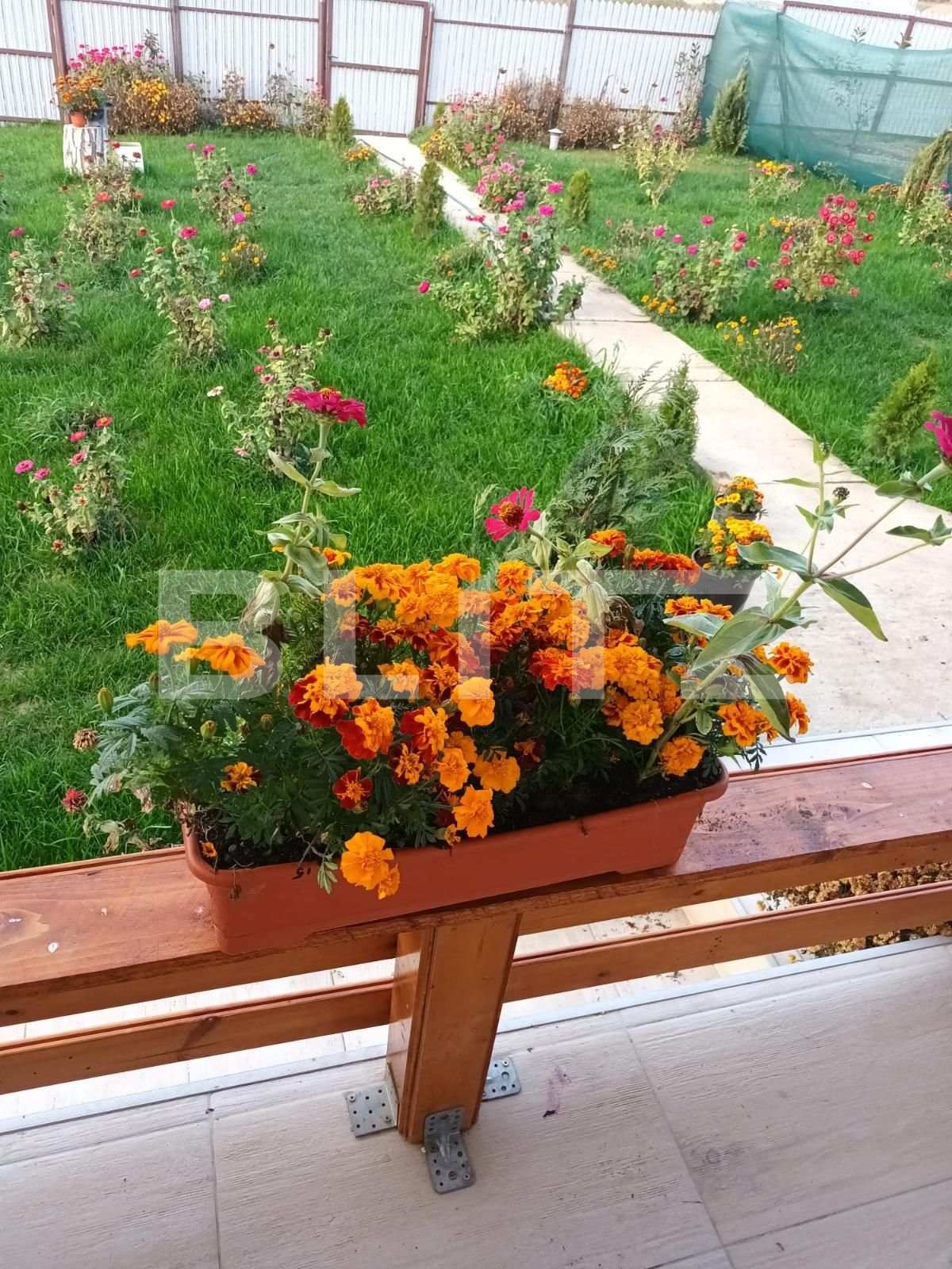 Casa de vânzare 2 camere Albesti - 117211CV | BLITZ Craiova | Poza6