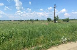 OPORTUNITATE INVESTIȚIE! TEREN 6670 mp comasat, zona Cârcea 