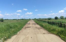 OPORTUNITATE INVESTIȚIE! TEREN 6670 mp comasat, zona Cârcea 