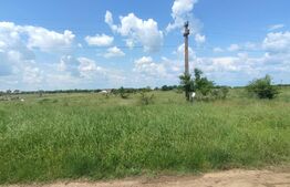 OPORTUNITATE INVESTIȚIE! TEREN 6670 mp comasat, zona Cârcea 