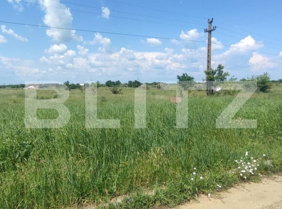 Teren de vânzare Carcea  - 117308TV | BLITZ Craiova | Poza4