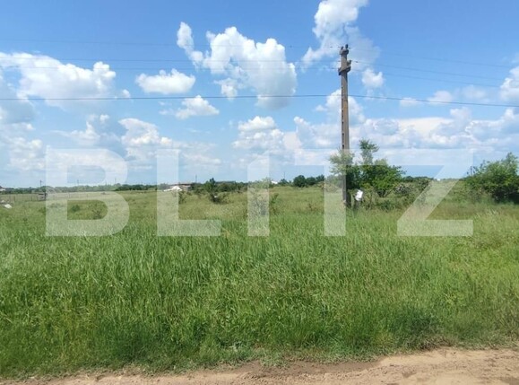 Teren de vânzare Carcea  - 117308TV | BLITZ Craiova | Poza3