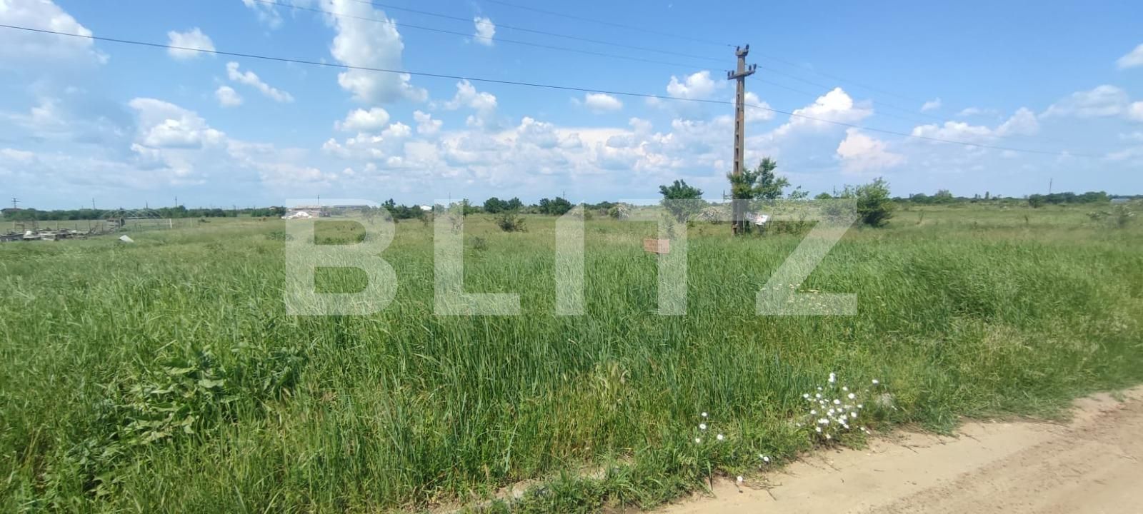 Teren de vânzare Carcea  - 117308TV | BLITZ Craiova | Poza4