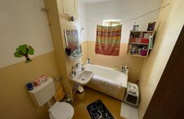 Apartament 2 camere, decomandat, 52 mp, Rovine zona Posta/Cleo 