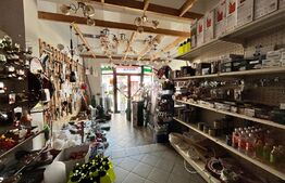 Spațiu comercial cu 2 magazine, birouri și locuință, 363 mp utili, 331 mp teren, Ultracentral Severin 